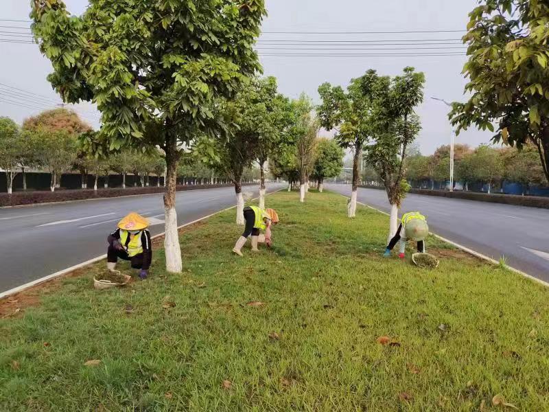 微信图片_20230410171308