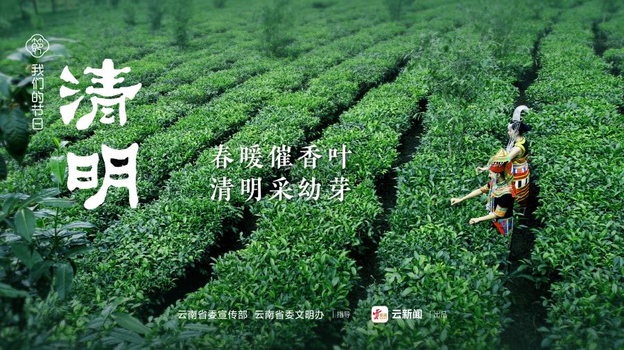 画板 1 副本 3@2x-100