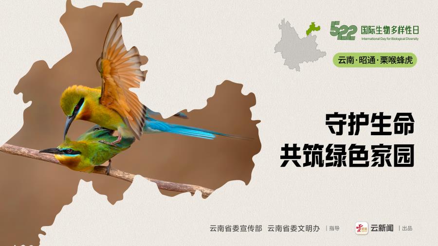 画板 1 副本 4@2x-100