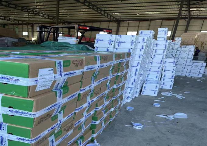 mmexport1667953733122