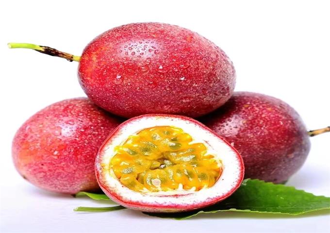 mmexport1667953736012