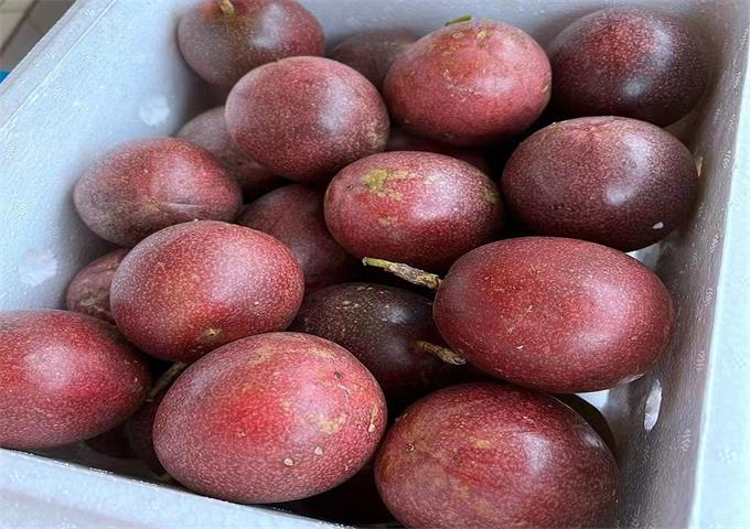 mmexport1667953738857