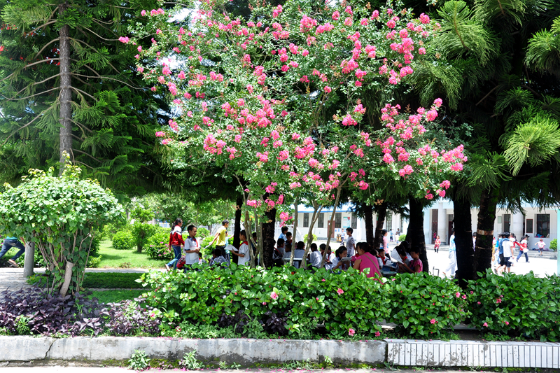 名片6-4_副本_副本