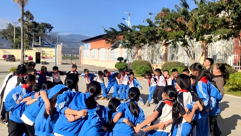 微信图片_20260112143426_1145_2_副本_副本