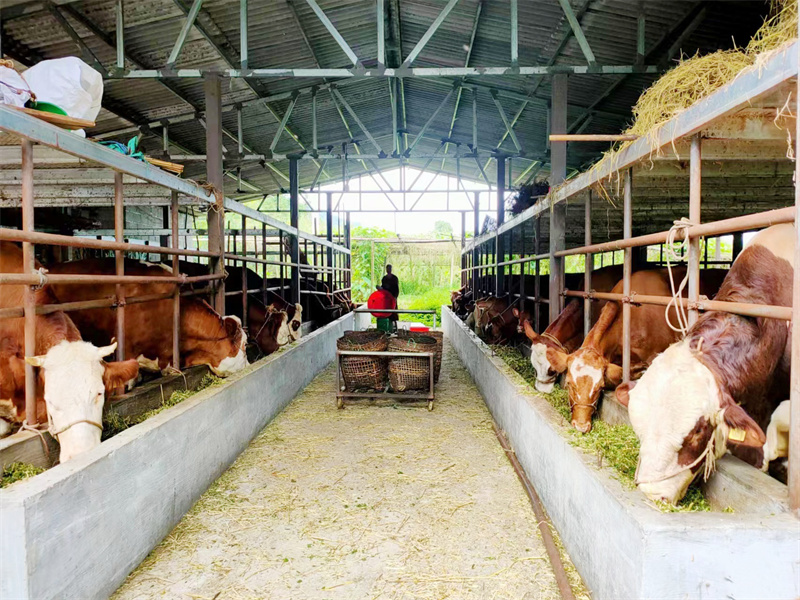 微信图片_20220812091015