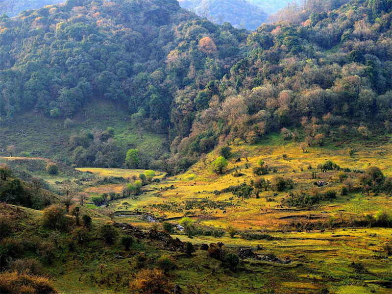 微信图片_20220812091030