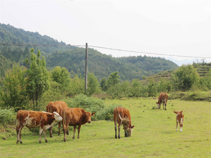 微信图片_20220812091034
