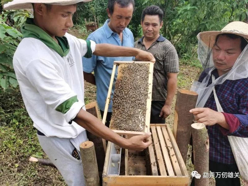 微信图片_20220909113222