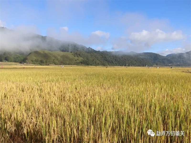 微信图片_20221019150136