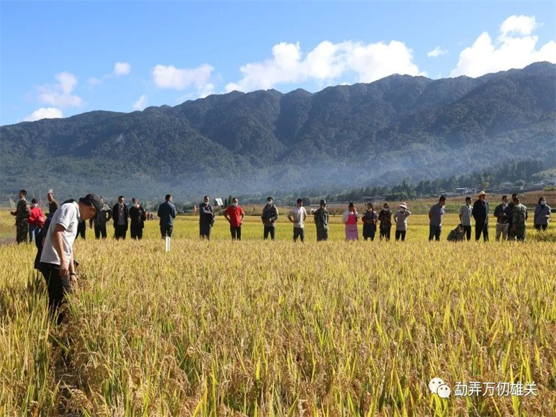 微信图片_20221019150140