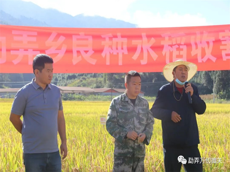 微信图片_20221019150144