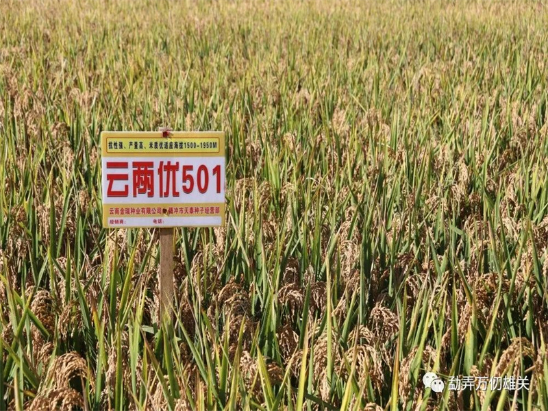 微信图片_20221019150150