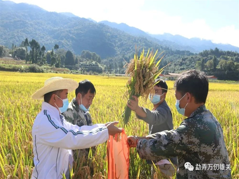 微信图片_20221019150157