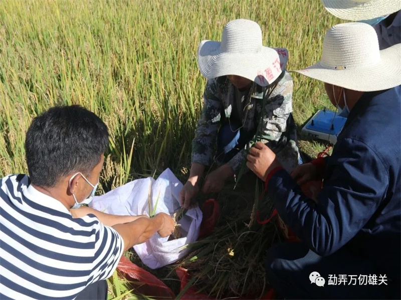 微信图片_20221019150200