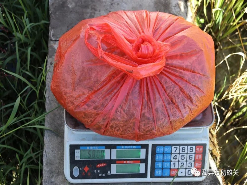 微信图片_20221019150202