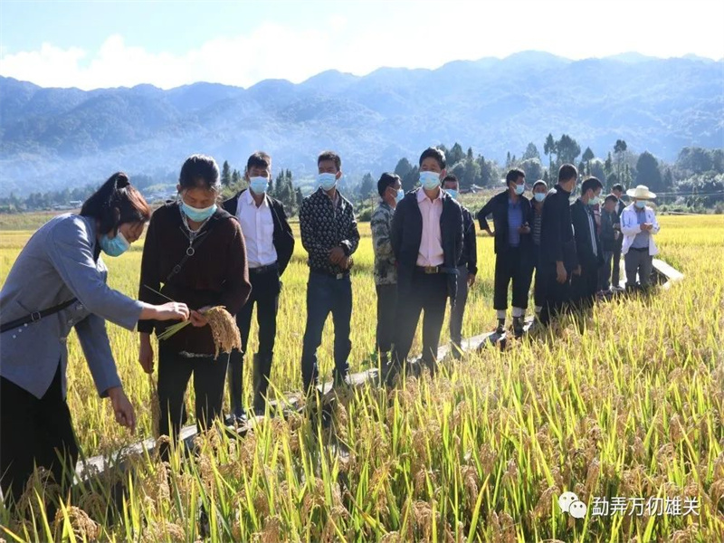 微信图片_20221019150205