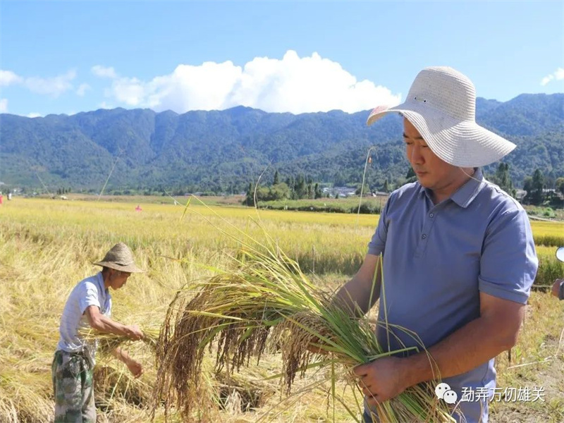 微信图片_20221019150209