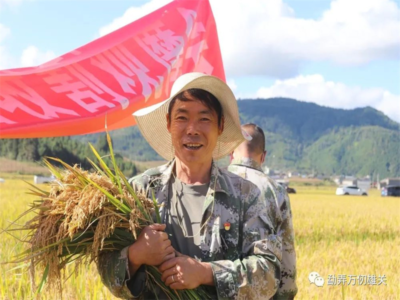 微信图片_20221019150211