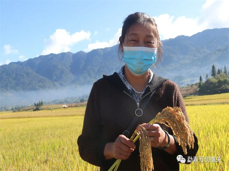 微信图片_20221019150214