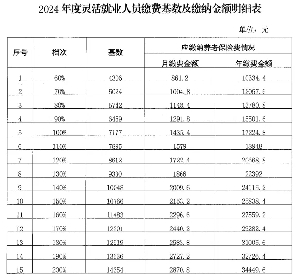 2024年度灵活就业人员缴费基数及缴纳金额明细表1