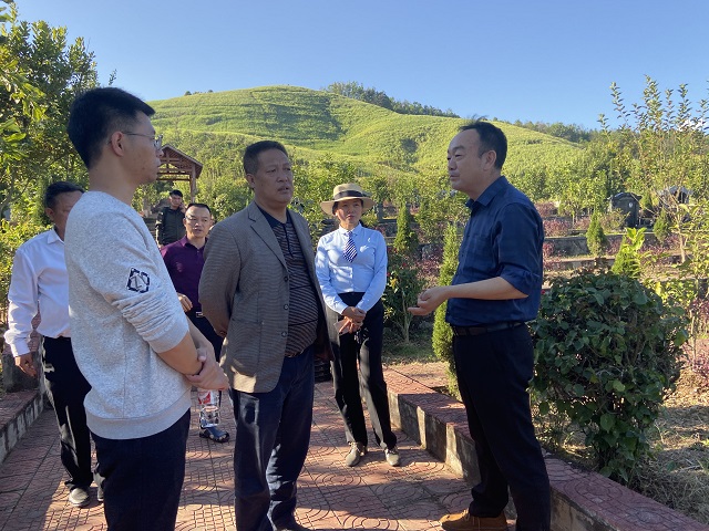 df22d3e8485ff5300a0506f4901bb18