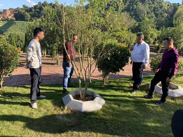 5b74c65a7b8a65ea07a26c382b6916f