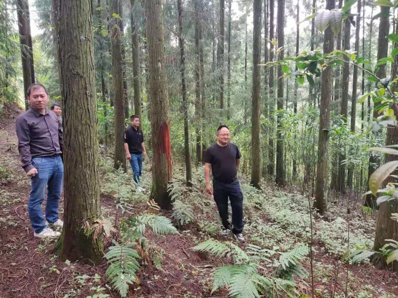 95d72bcbd195ed1c6e4ca9a2a4cb8cd