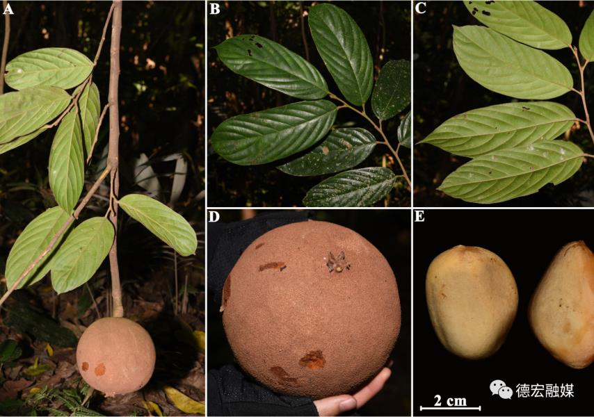 微信图片_20231128102129