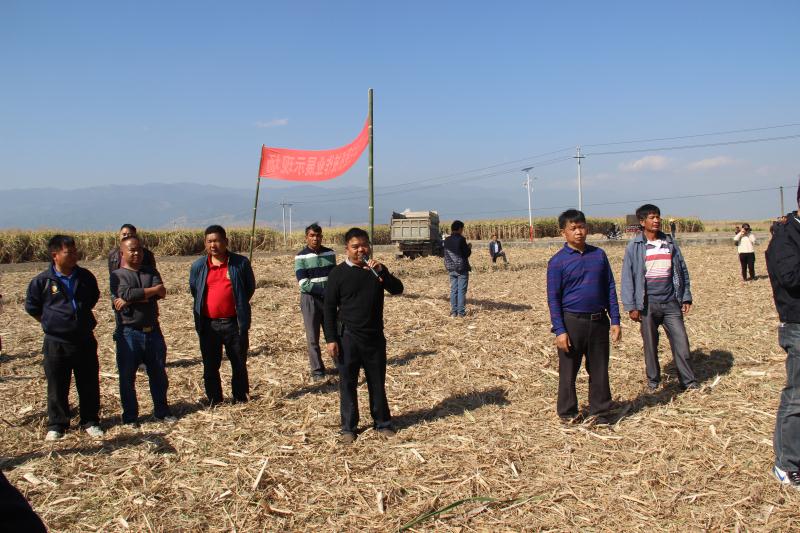 微信图片_20180201160808