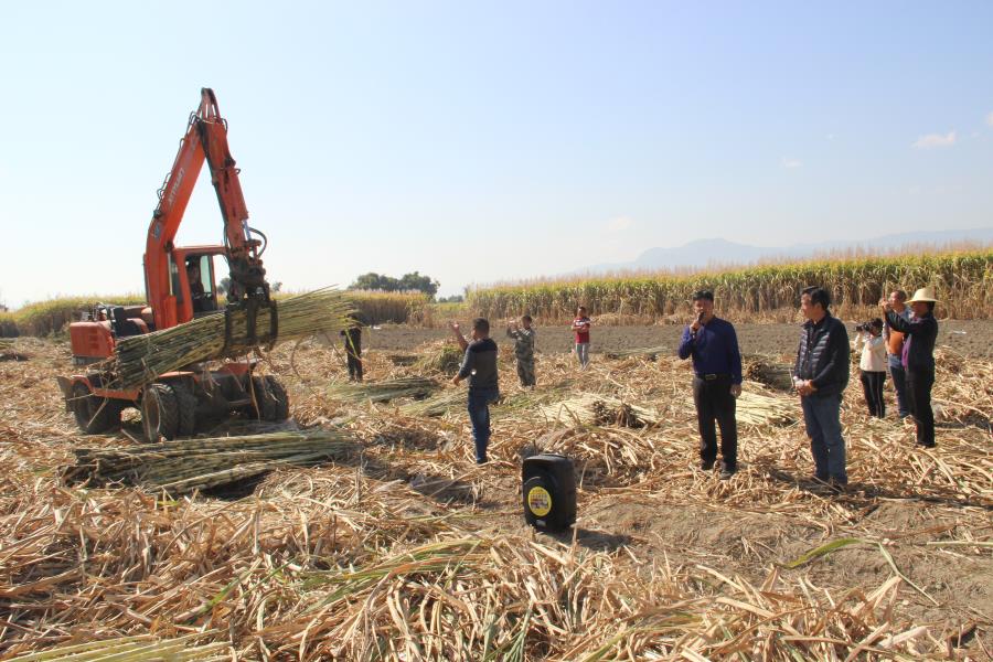 微信图片_20180201170745