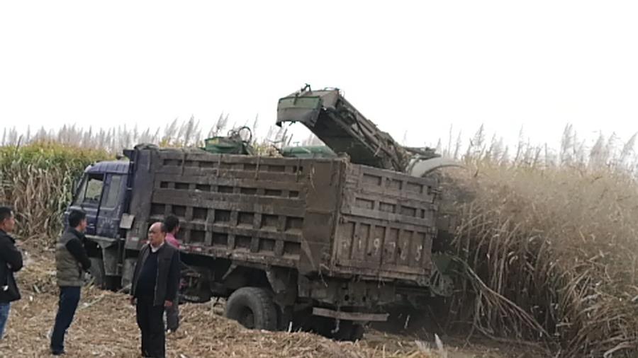 微信图片_20180211165145