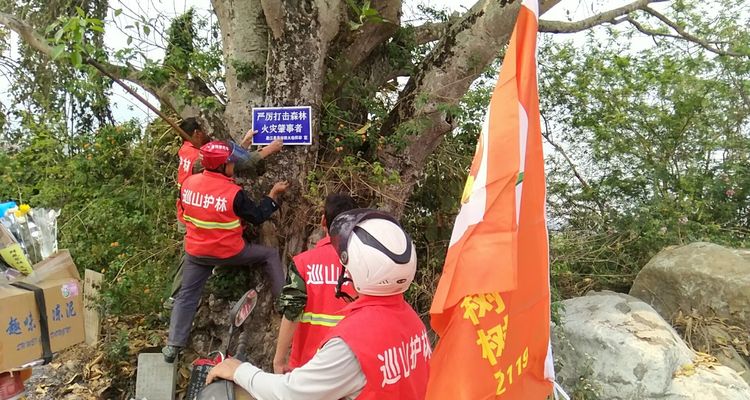 微信图片_20180408161350