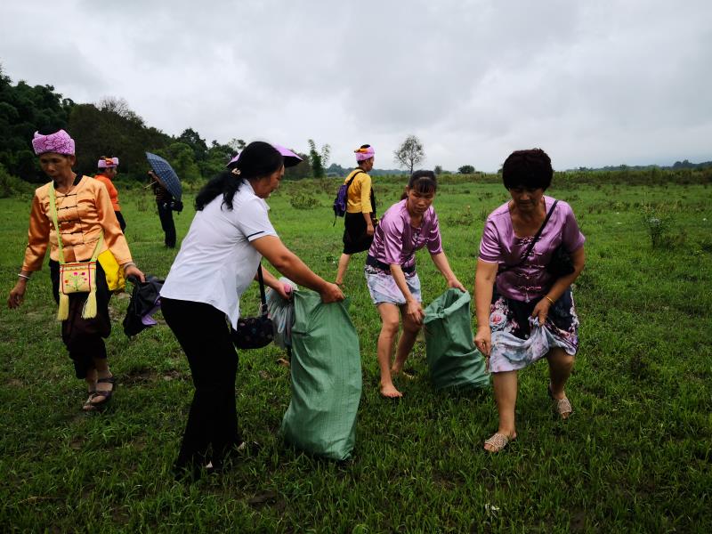 一次环境卫生整治