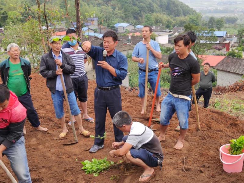 微信图片_20200530170835