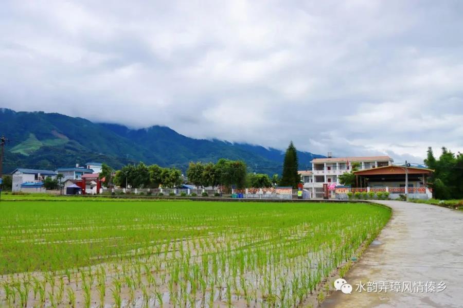 盈江县弄璋镇人民政府信息公开专栏