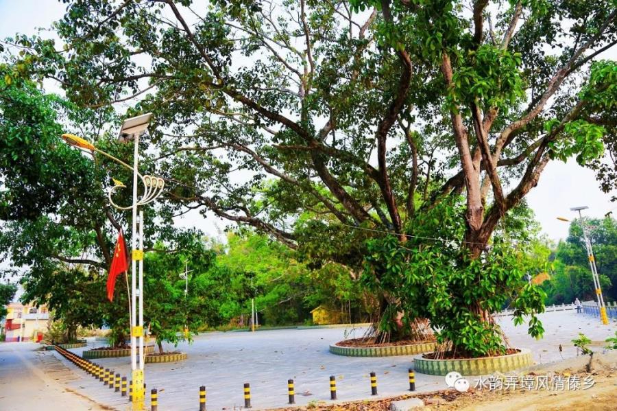 盈江县弄璋镇人民政府信息公开专栏