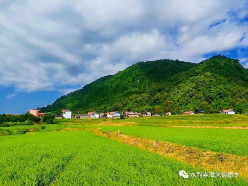 盈江县弄璋镇人民政府信息公开专栏