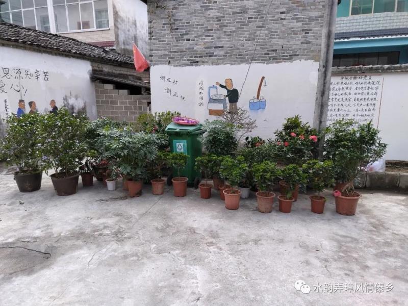 微信图片_20230327155555