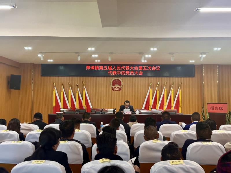 代表中的党员大会1