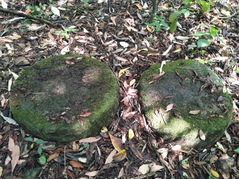 a1186f54ac625d6e72adf6b4bee8710