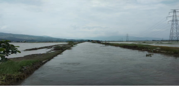 简报第11期盈江县水利局组织开展太平镇中心排涝沟清淤疏浚工作487