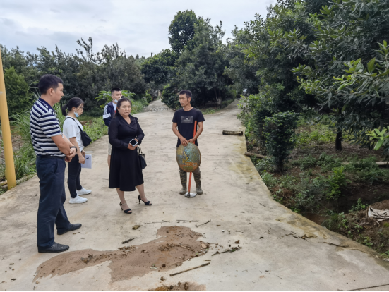 简报第21期切实做好代表建议和委员提案办理工作，补齐乡村振兴供水保障短板(1)397