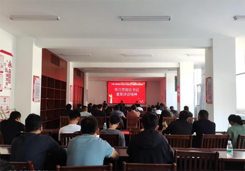 101bf127-394f-4cc5-8e39-873ffbf28477_l