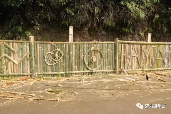 微信图片_20181019160033