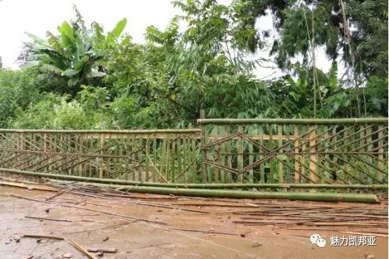 微信图片_20181019161224