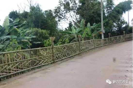 微信图片_20181019160832