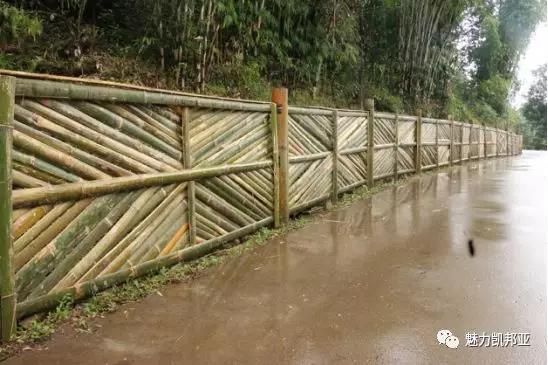 微信图片_20181019155705