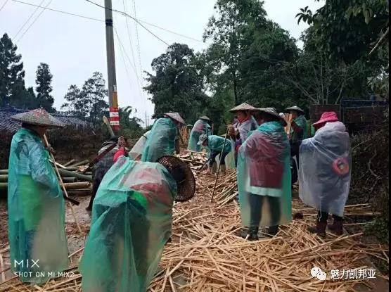 微信图片_20181019161509