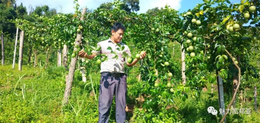 微信图片_20200916124734