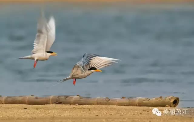 微信图片_20201207105713